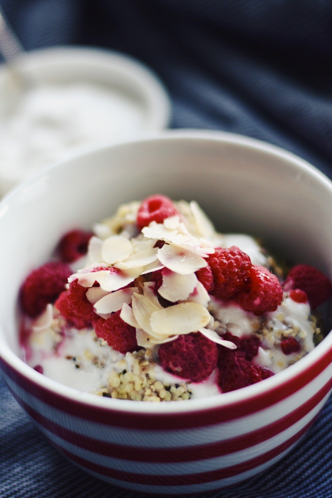 Featured image for “Low-Carb Porridge with Raspberries and Coconut”