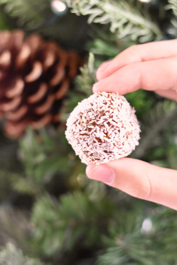 cacao and cranberry bliss balls